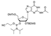 5'-O-DMTr-2'-O-TBDMS-G(Ac)-3'-CE-Phosphoramidite