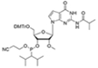 5'-O-DMTr-7-deaza-2'-O-Me-G(iBu)-3'-CE-Phosphorami