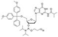 DMT-dG(iBu)-CE-Phosphoramidite